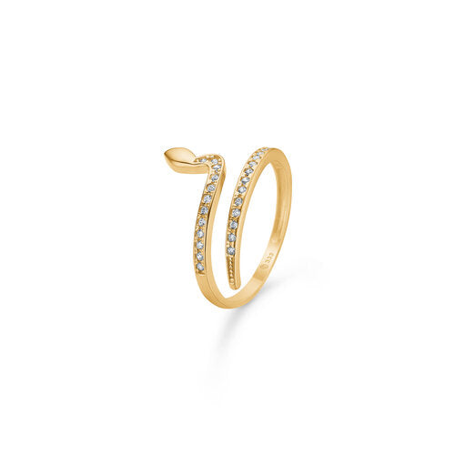 EDEN ring