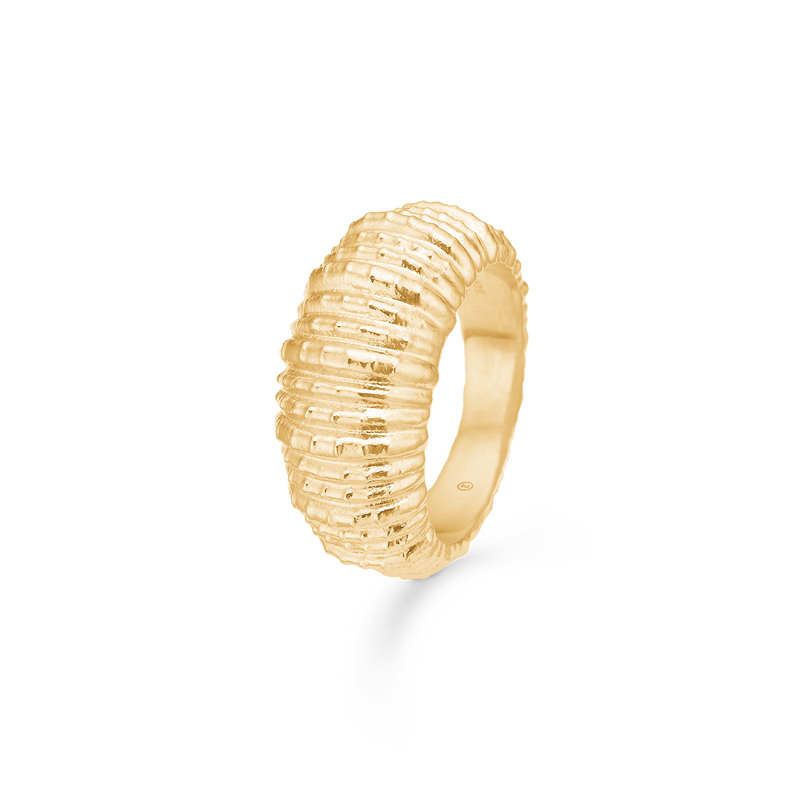 SEASHELL SECRETS ring bred forgyldt